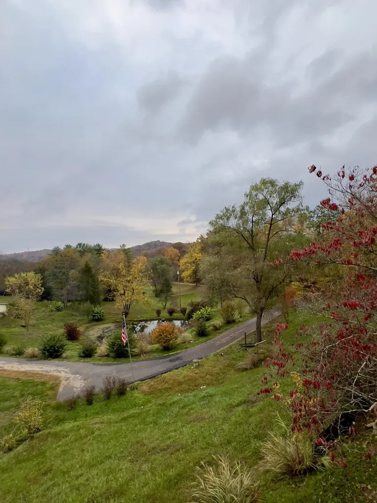 262 Mt. Pleasant Road Louisa KY 41230