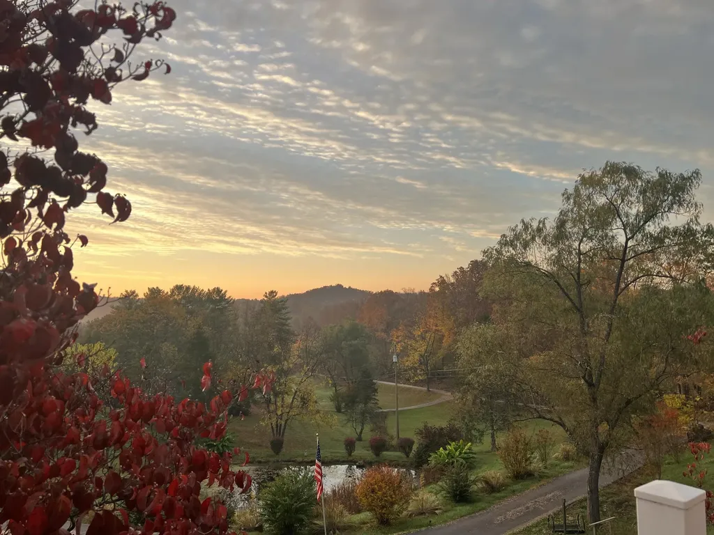 262 Mt. Pleasant Road Louisa KY 41230