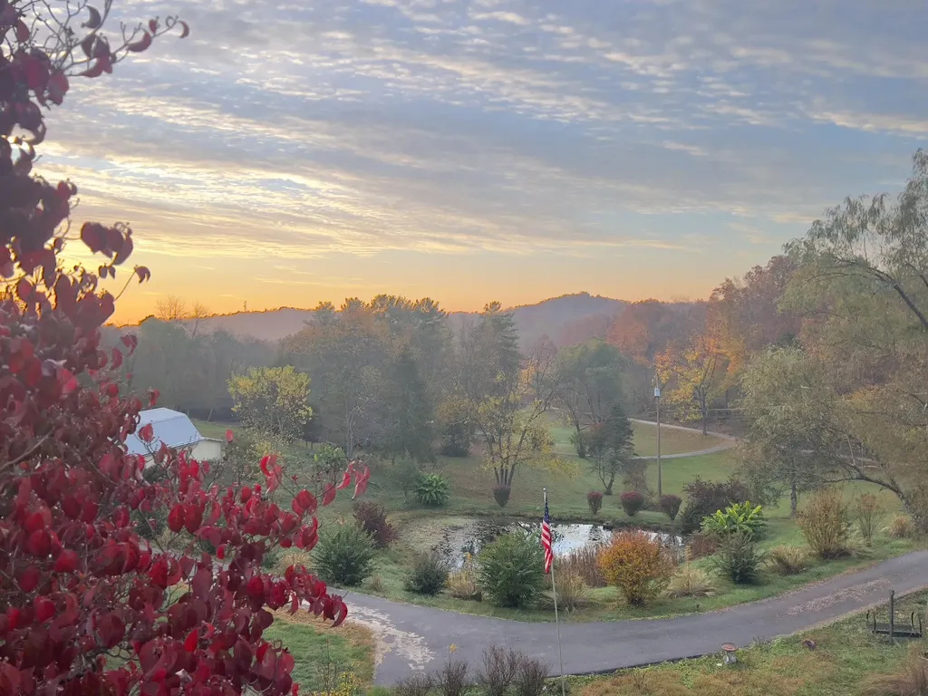 262 Mt. Pleasant Road Louisa KY 41230