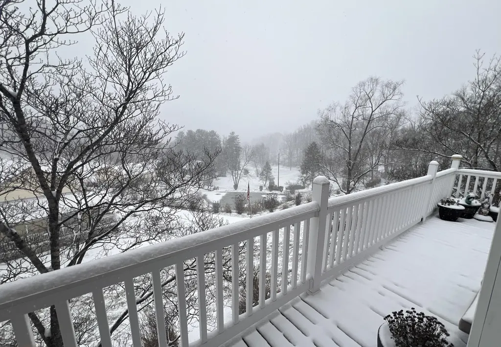 262 Mt. Pleasant Road Louisa KY 41230