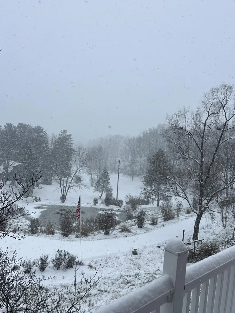 262 Mt. Pleasant Road Louisa KY 41230