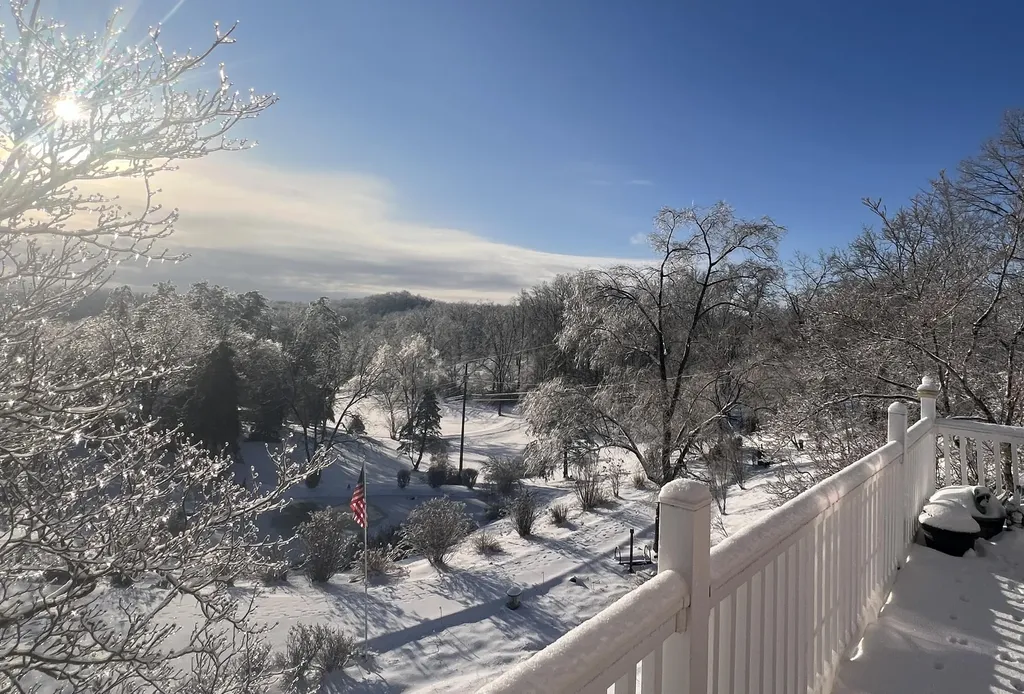 262 Mt. Pleasant Road Louisa KY 41230