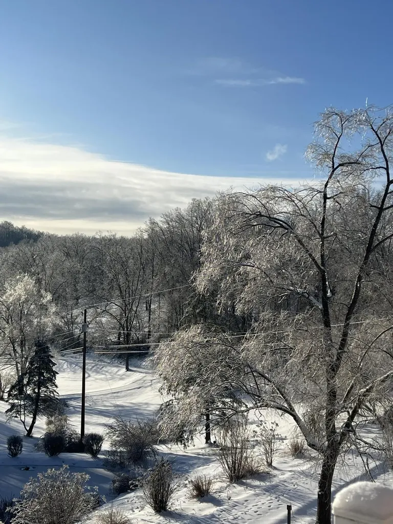 262 Mt. Pleasant Road Louisa KY 41230