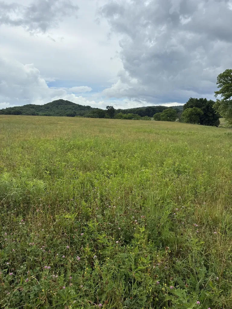 1234 Hart Pike Owingsville KY 40360