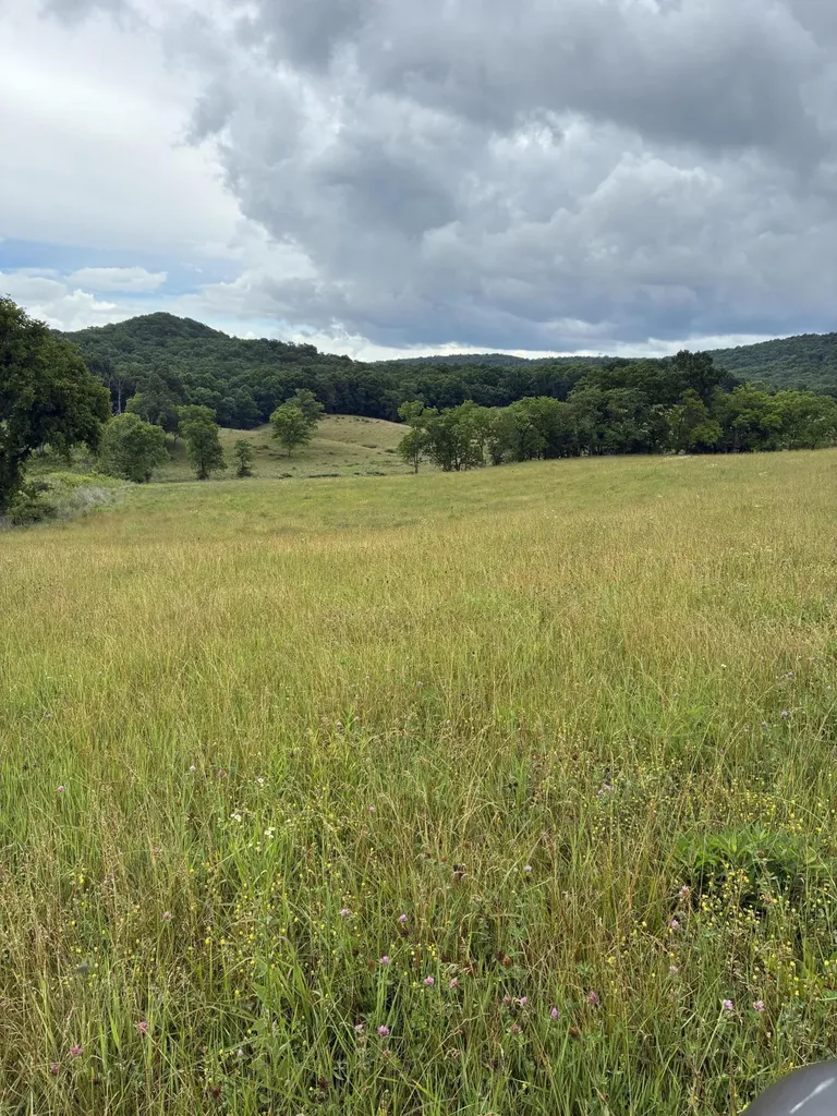 1234 Hart Pike Owingsville KY 40360