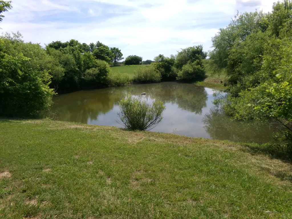 3884 Stepstone Road Owingsville KY 40360