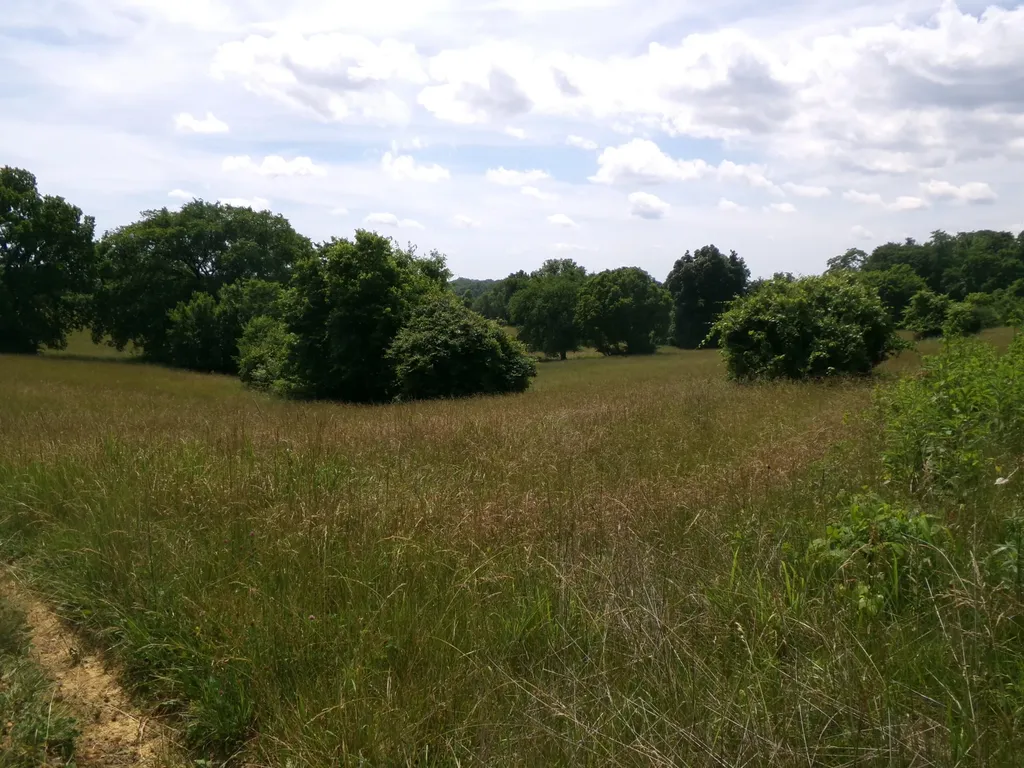 3884 Stepstone Road Owingsville KY 40360