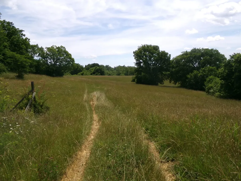 3884 Stepstone Road Owingsville KY 40360