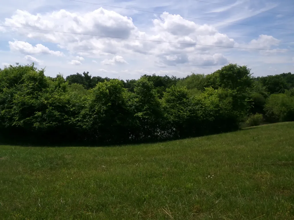 3884 Stepstone Road Owingsville KY 40360