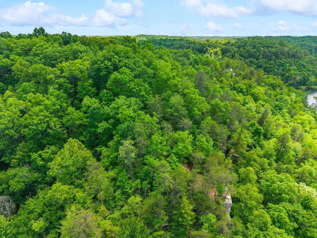 Lot 241-243 Cedarwood Drive Zoe KY 41397