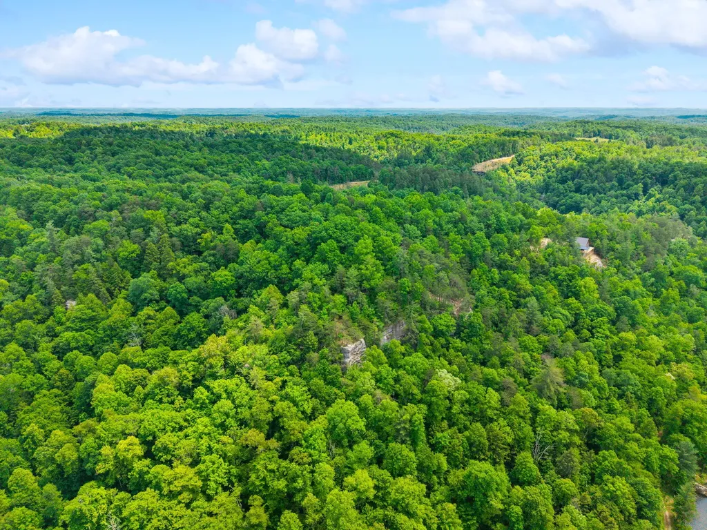 Lot 241-243 Cedarwood Drive Zoe KY 41397