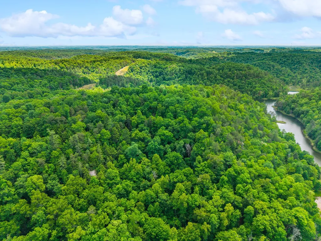 Lot 241-243 Cedarwood Drive Zoe KY 41397