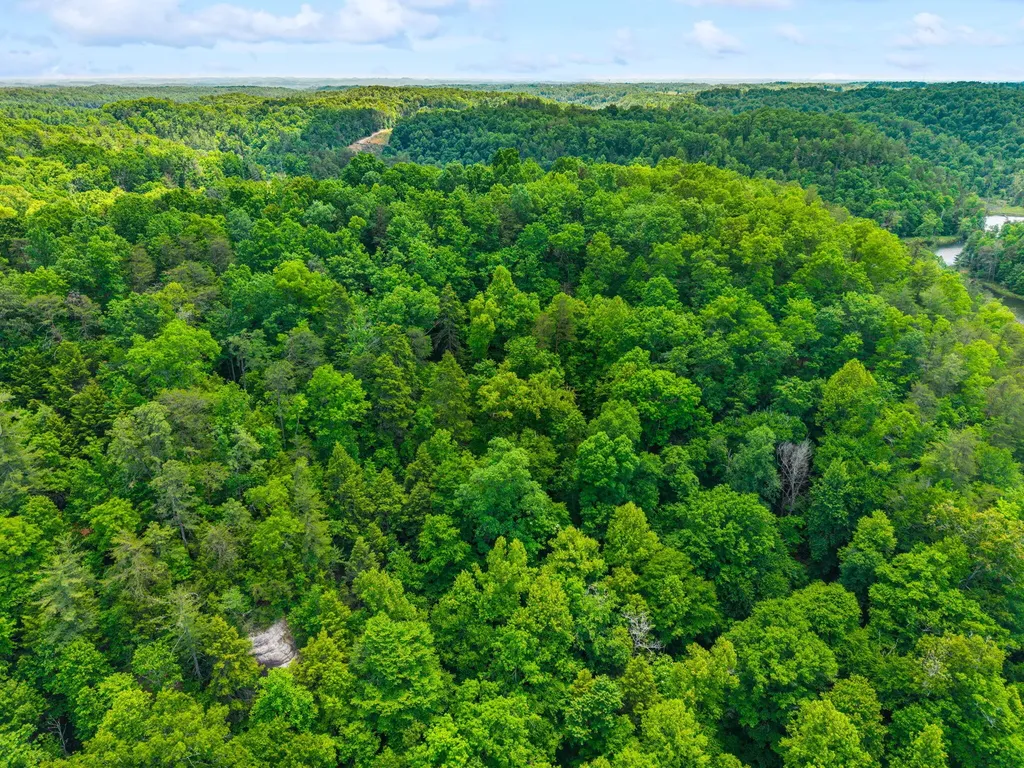 Lot 241-243 Cedarwood Drive Zoe KY 41397