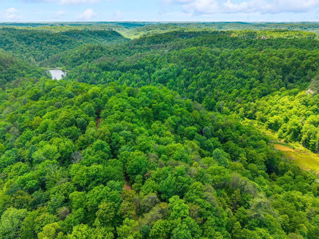 Lot 241-243 Cedarwood Drive Zoe KY 41397