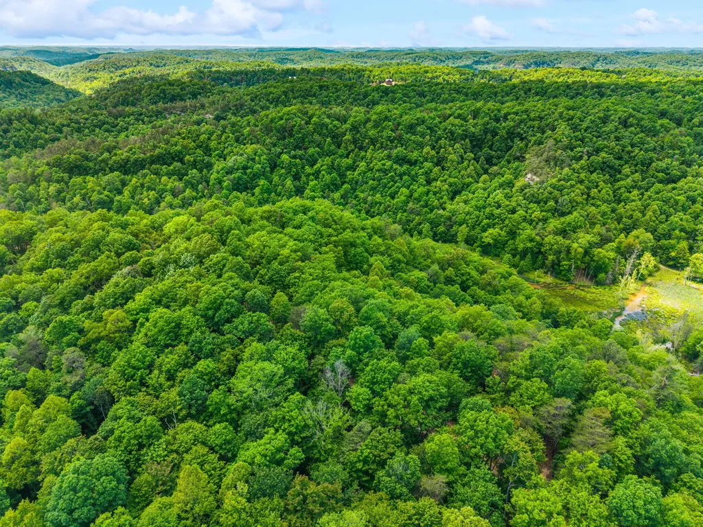 Lot 241-243 Cedarwood Drive Zoe KY 41397