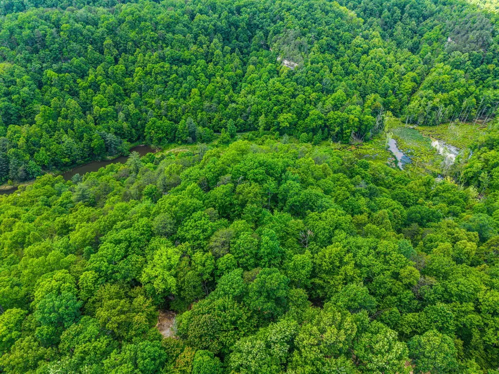Lot 241-243 Cedarwood Drive Zoe KY 41397
