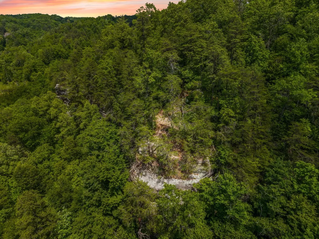 Lot 241-243 Cedarwood Drive Zoe KY 41397