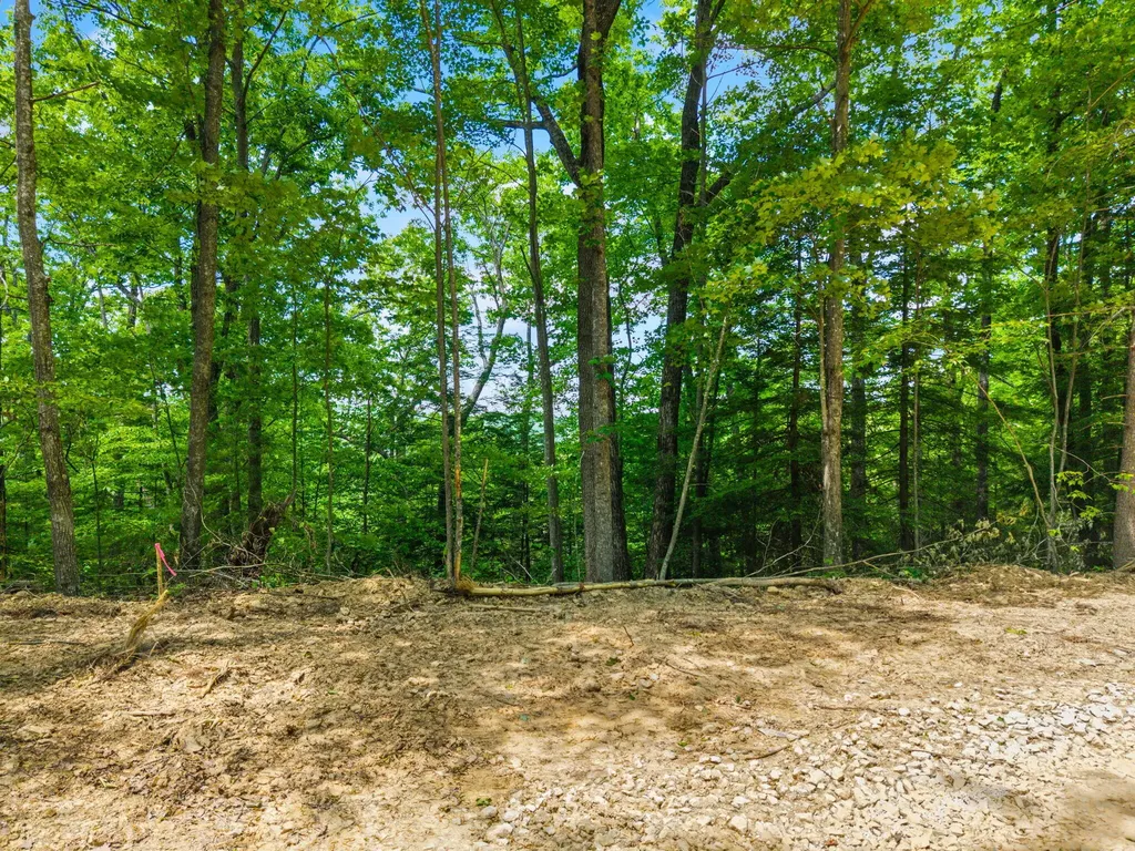 Lot 241-243 Cedarwood Drive Zoe KY 41397