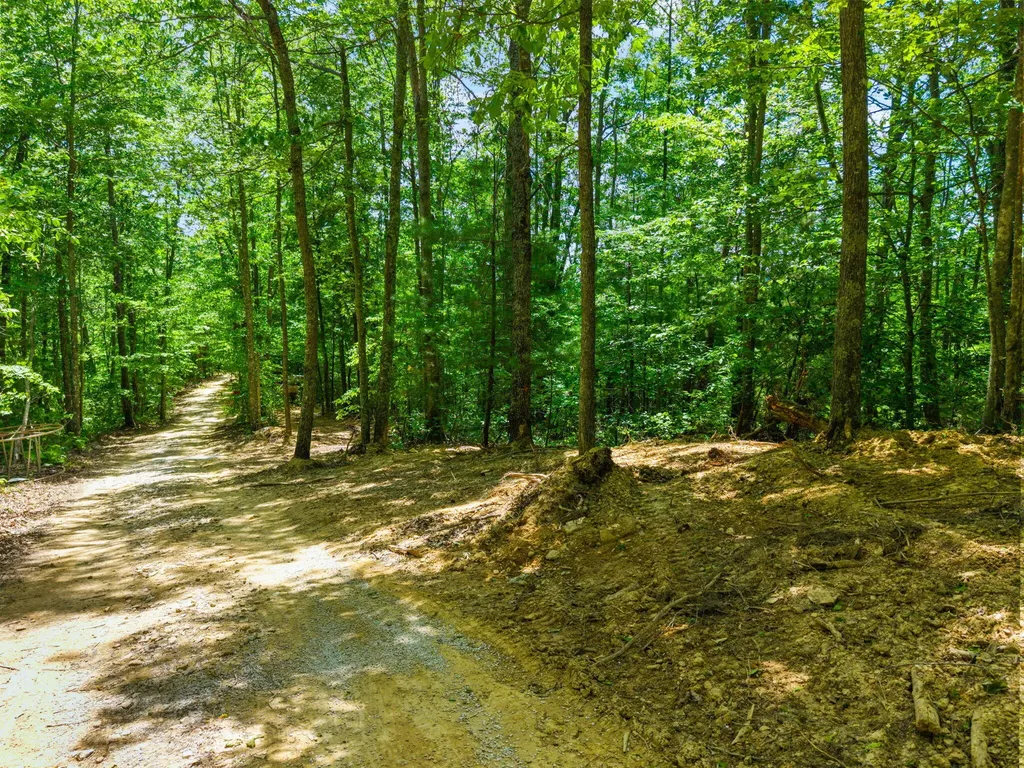 Lot 241-243 Cedarwood Drive Zoe KY 41397