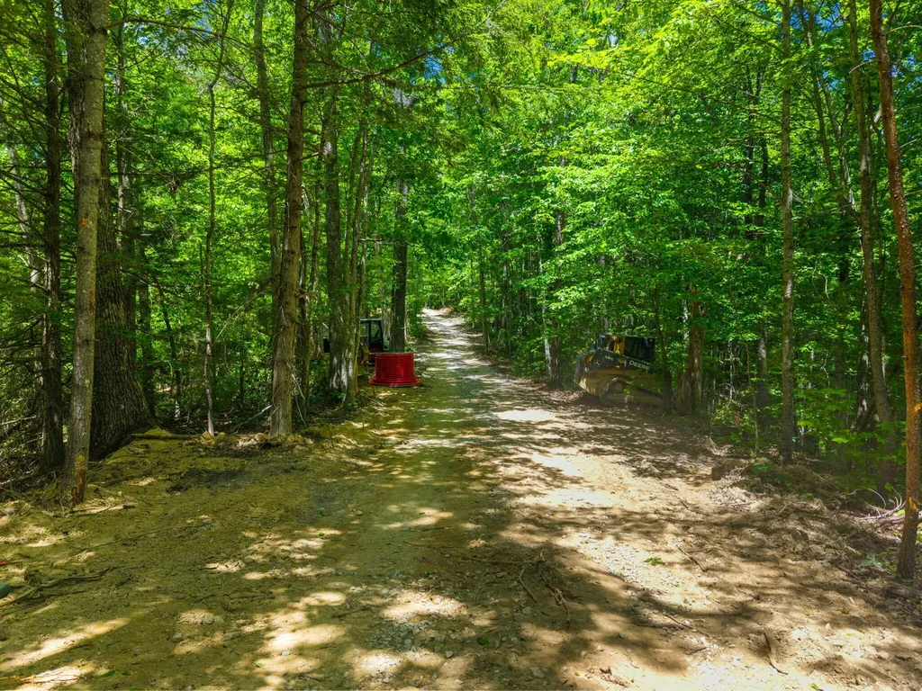Lot 241-243 Cedarwood Drive Zoe KY 41397
