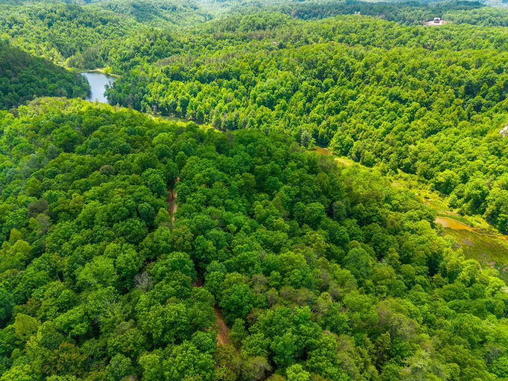 Lot 241-243 Cedarwood Drive Zoe KY 41397
