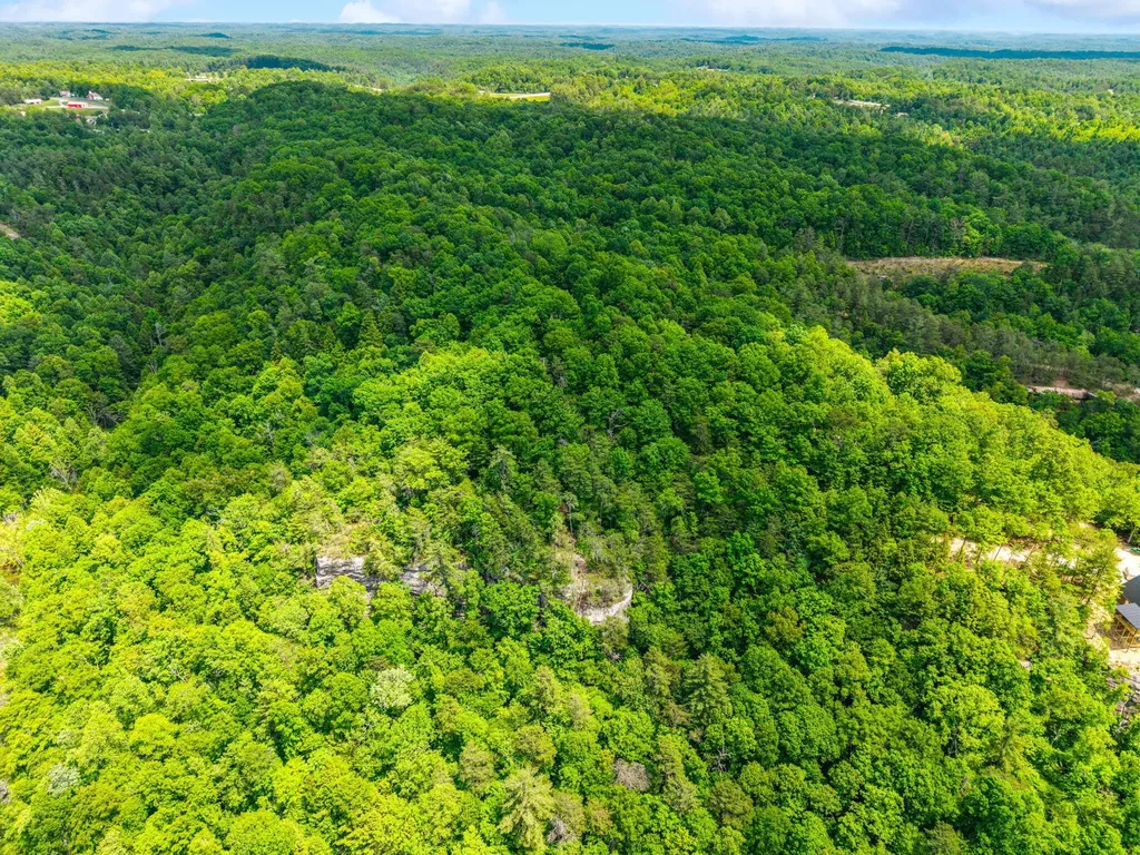 Lot 241-243 Cedarwood Drive Zoe KY 41397