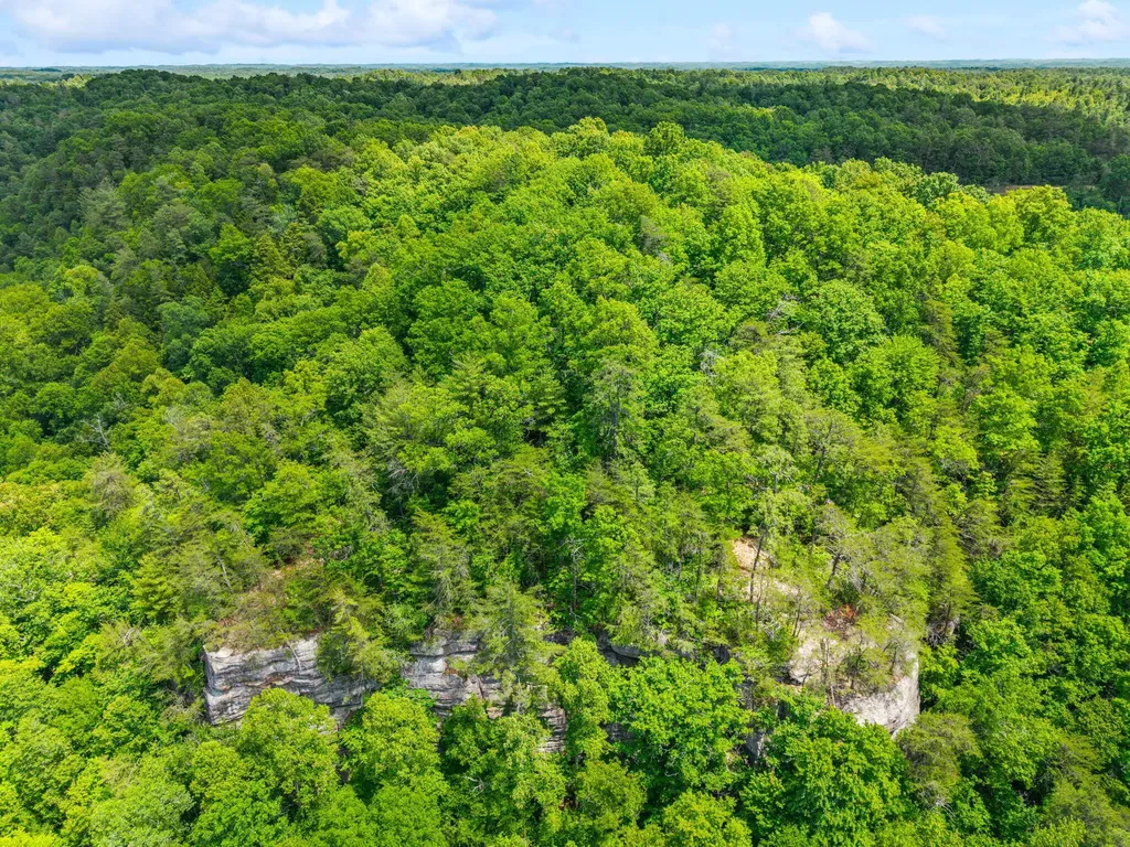 Lot 241-243 Cedarwood Drive Zoe KY 41397