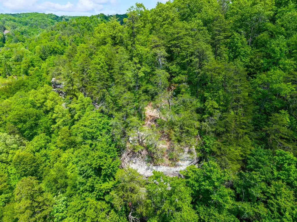 Lot 241-243 Cedarwood Drive Zoe KY 41397