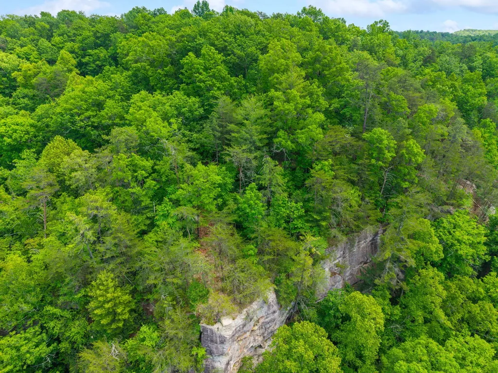 Lot 241-243 Cedarwood Drive Zoe KY 41397