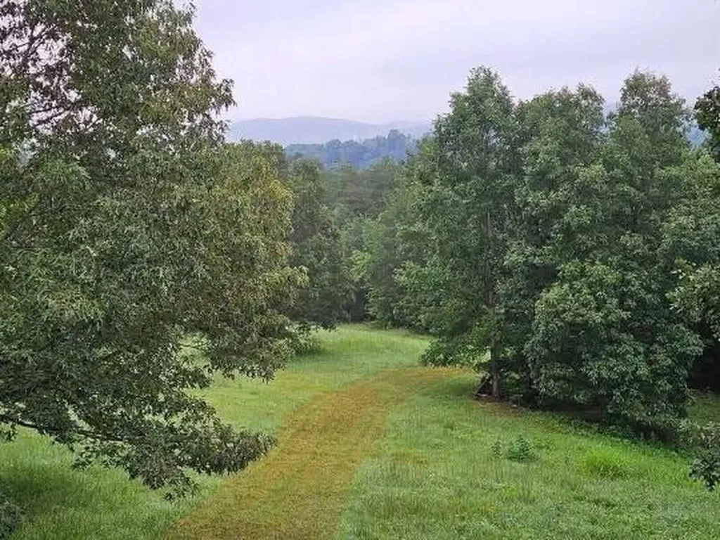 1019 Bridge Hollow Road Somerset KY 42503