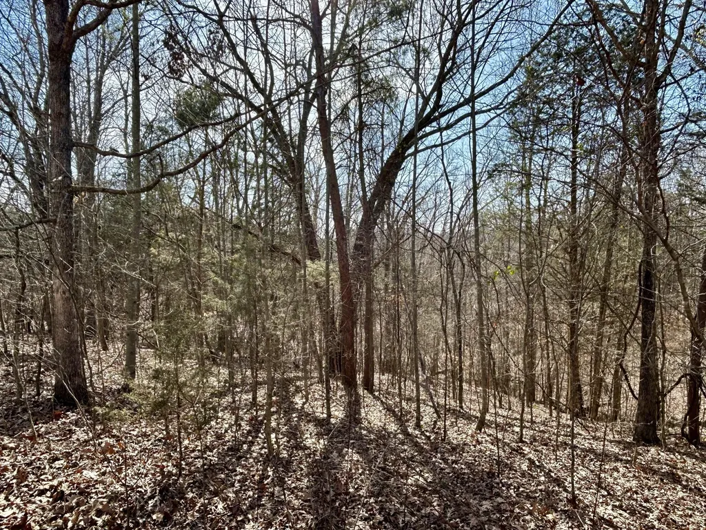 1019 Bridge Hollow Road Somerset KY 42503