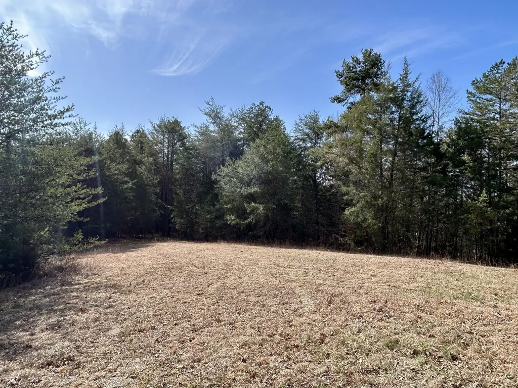 1019 Bridge Hollow Road Somerset KY 42503