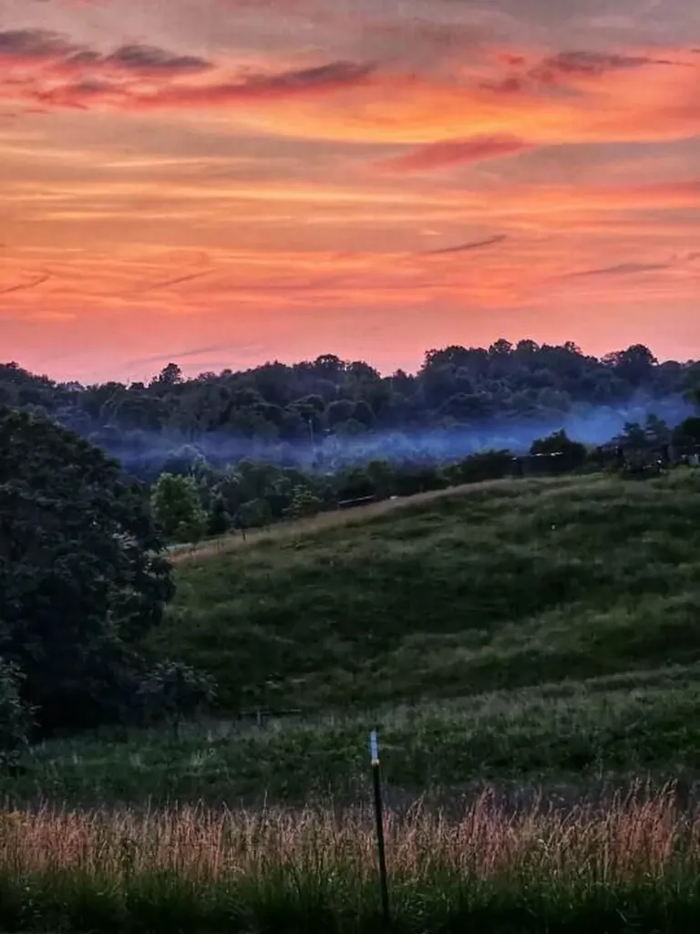 1019 Bridge Hollow Road Somerset KY 42503