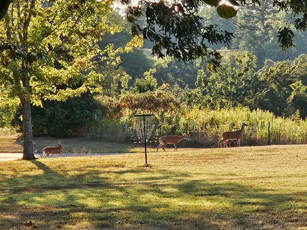 1019 Bridge Hollow Road Somerset KY 42503
