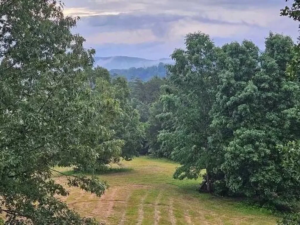 1019 Bridge Hollow Road Somerset KY 42503