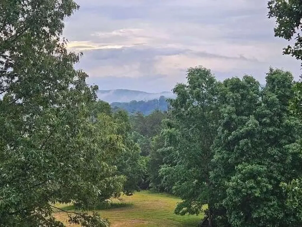 1019 Bridge Hollow Road Somerset KY 42503