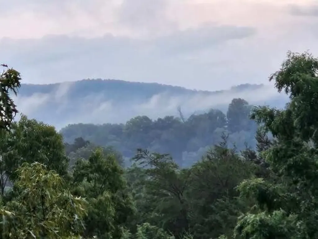 1019 Bridge Hollow Road Somerset KY 42503