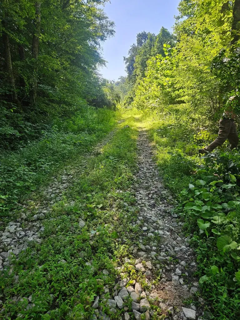 4242 Right Fork Georges Creek Road Louisa KY 41230