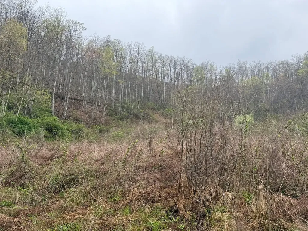 4242 Right Fork Georges Creek Road Louisa KY 41230