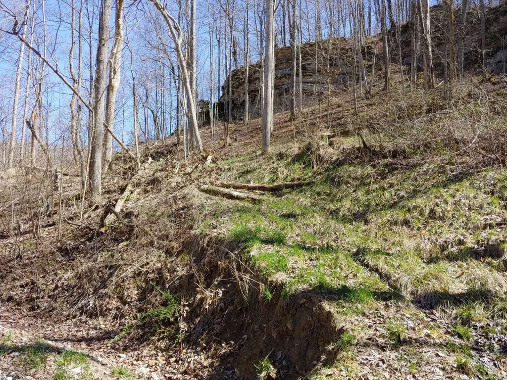 0 Birch Hollow Road Stanton KY 40380