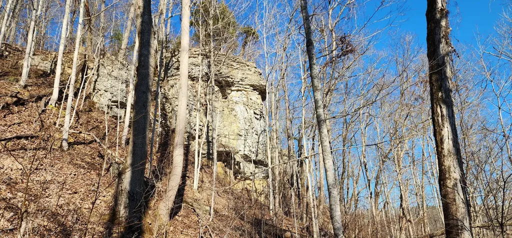 0 Birch Hollow Road Stanton KY 40380
