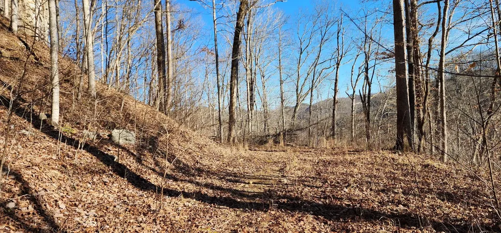 0 Birch Hollow Road Stanton KY 40380