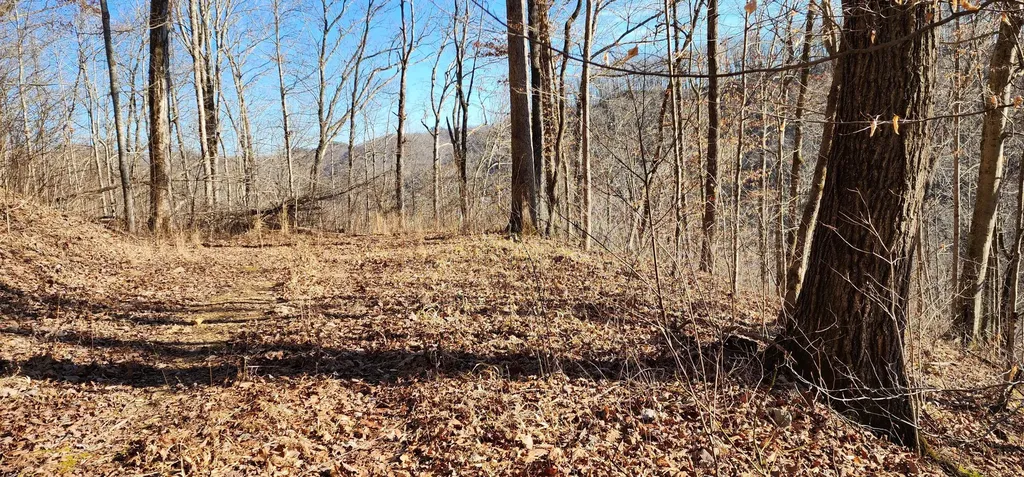 0 Birch Hollow Road Stanton KY 40380