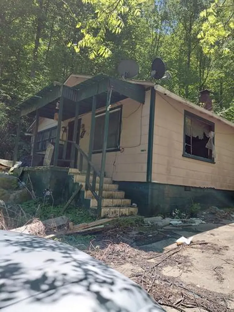 360 Pickle Bean Hollow Ransom KY 41558