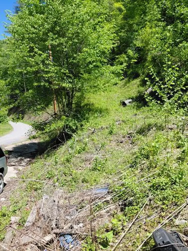 360 Pickle Bean Hollow Ransom KY 41558