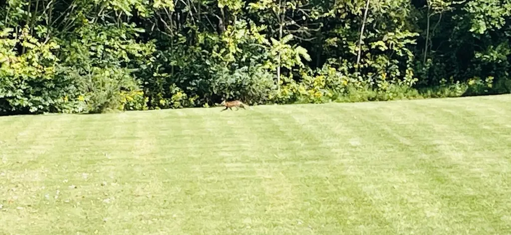 Lot 33 Ridge Road Russell Springs KY 42642