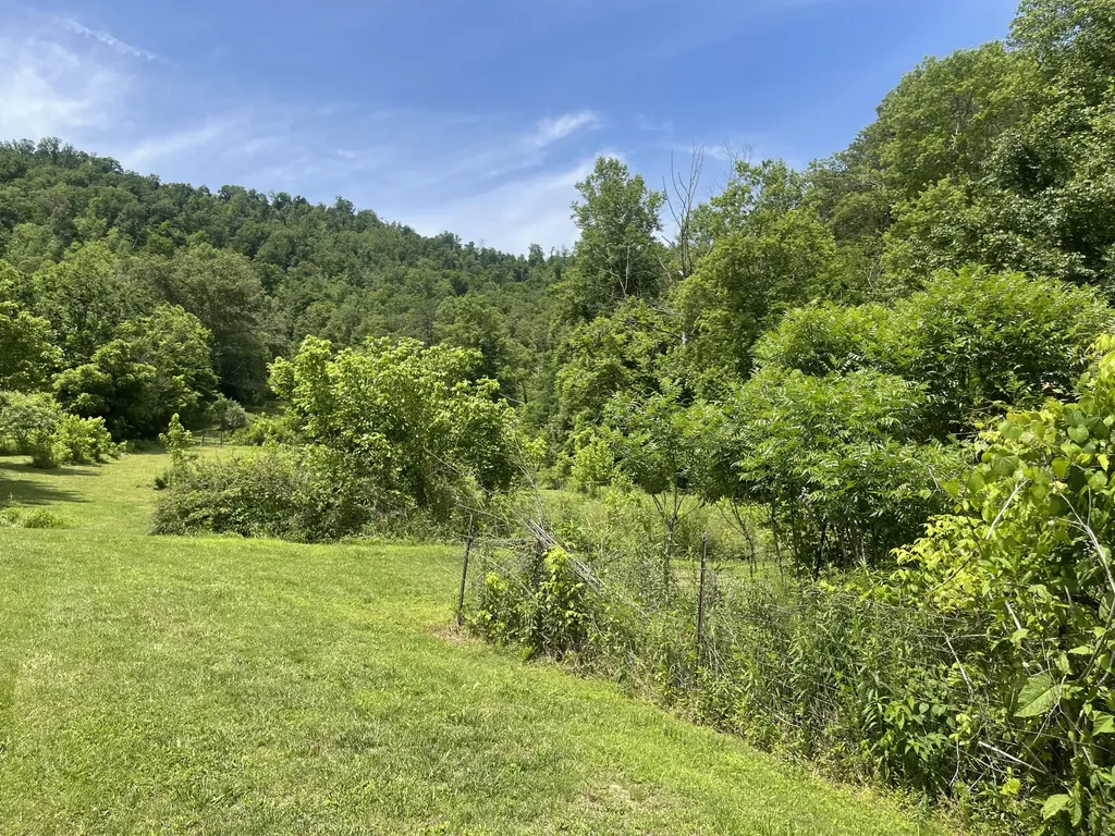 1153 Key 718 Flat Lick KY 40935