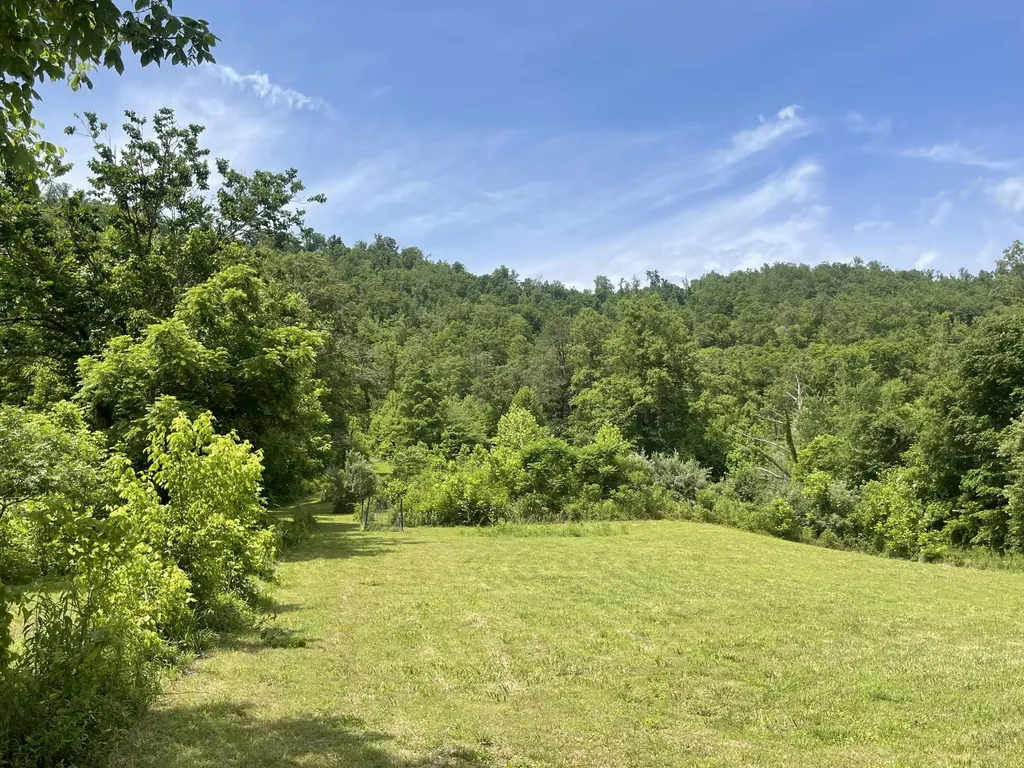 1153 Key 718 Flat Lick KY 40935