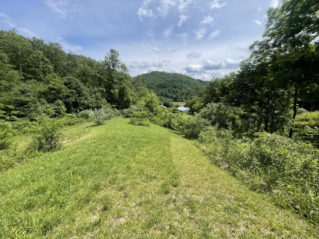 1153 Key 718 Flat Lick KY 40935