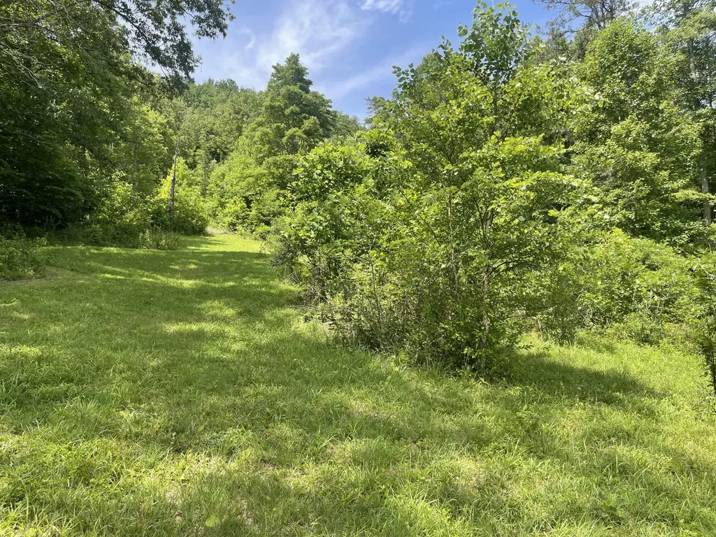 1153 Key 718 Flat Lick KY 40935